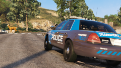 Well, he is in the crosswalk