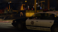 Damn Mountain Lions...