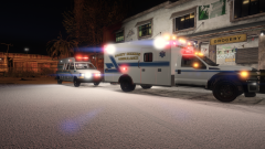 Sandy Shores BLS and San Andreas Ambulance ALS on Scene.