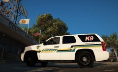 Ignore the K9 in the window..