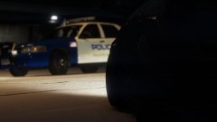 'survival of the fittest'