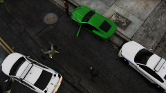 Arresting vehicle theif