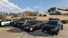 Indiana RP Los Santos Metro Police
