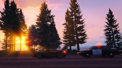 You weren't fast enough