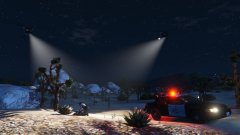 Drug dealer arrested