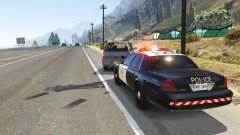 Traffic stop