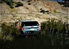 Can you spot the trooper.