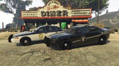 SAHP 2016 Dodge Charger