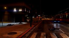 Coroner is having a field day (II)