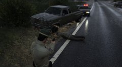 Traffic Stop Gone Wrong