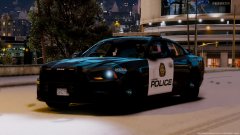Calgary Police Services