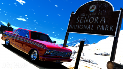 Desert Muscle