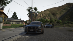 traffic stop warrant