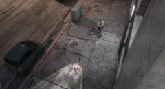 Security Camera Footage of Arrest