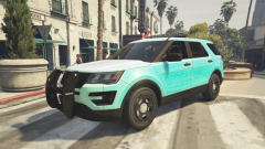 2016 FPIU