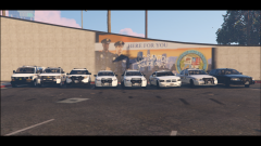 RCMP Mega Pack. The finished vehicles.