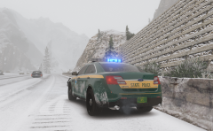 Vermont State Police