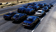 WHOLE LOTTA GANG SHIT