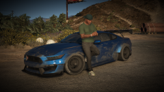 Peng ting called Mustang