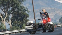 highway trooper pursuit standoff
