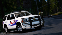 Paleto Police