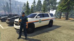 Coffee break at Paleto Bay