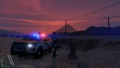 Eluding and under arrest