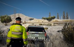 Favorite spots are cutouts within tree areas.