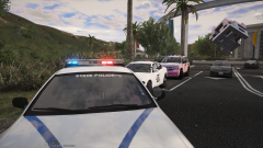 Indiana State Police Pack WIP