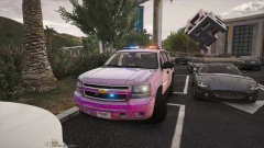 Indiana State Police Pack WIP