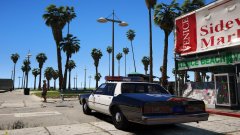 LAPD patrol at Venice Beach