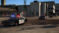 Here comes the cavalry!