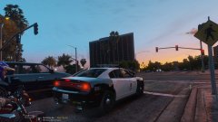 LAPD Charger