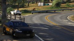 LSSD