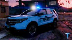 Hanover Co. Sheriff's Office (Skins)