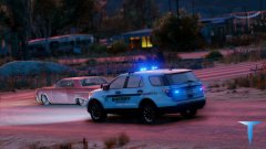 Hanover Co. Sheriff's Office (Skins)