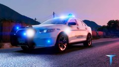 Hanover Co. Sheriff's Office (Skins)