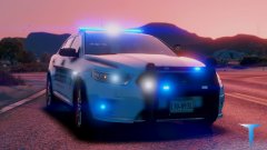 Hanover Co. Sheriff's Office (Skins)