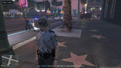 Bank Heist in Progress