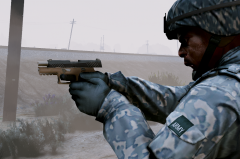 P320 Compact (black-tan)