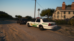 illegal alien arrested