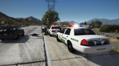 shots fired on a traffic stop