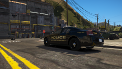 Interesting traffic stop