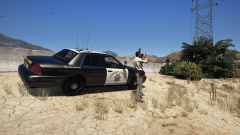 everybodys looking for something