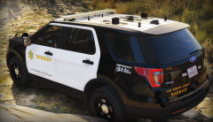Law Enforcement LSSD #1