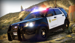 Law Enforcement LSSD #2
