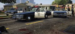 cops.JPG