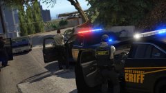 Felony Stop