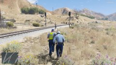 Suspect seen fleeing from the pursuit