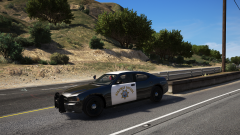 reckless driving enforcement